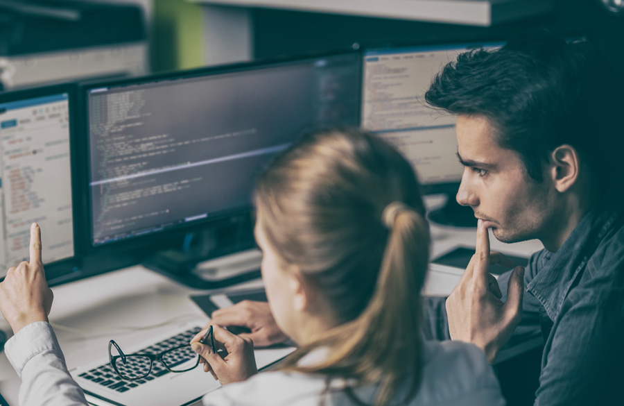 Software Consultants